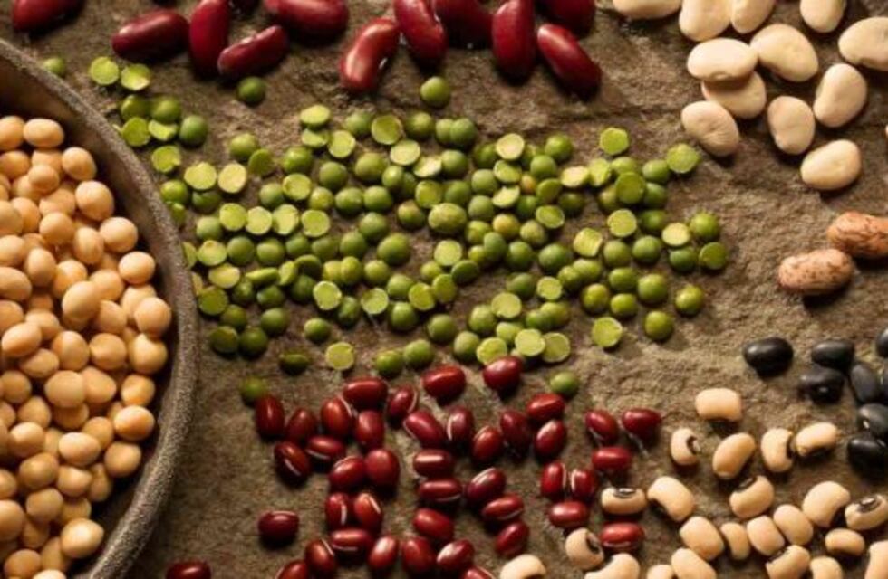 Productores confían en aumentar este año la producción de legumbres
