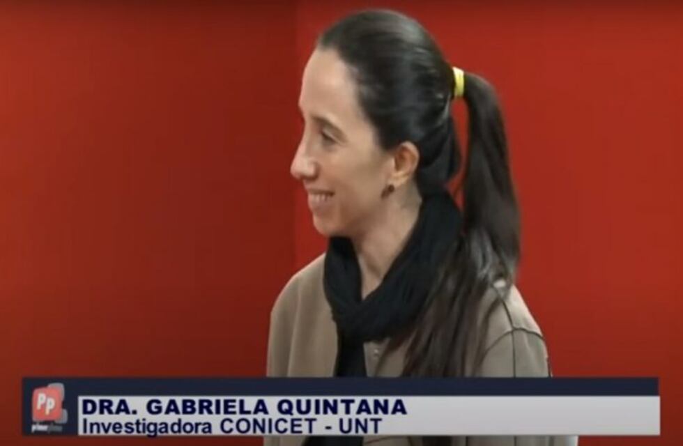 Estudios del mosquito del dengue