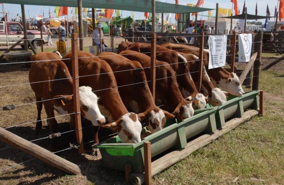 Expoagro: ganaderos se mostraron optimistas por el crecimiento de las exportaciones