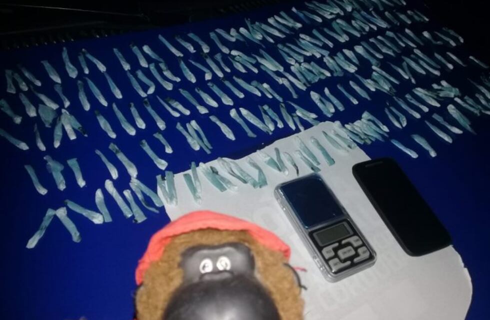 En un mono de peluche ocultaban más de 200 envoltorios de cocaína: todos "adentro"