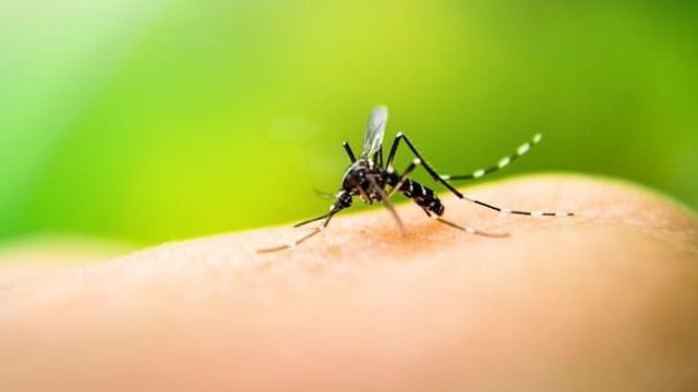 Dengue en Cerro Azul