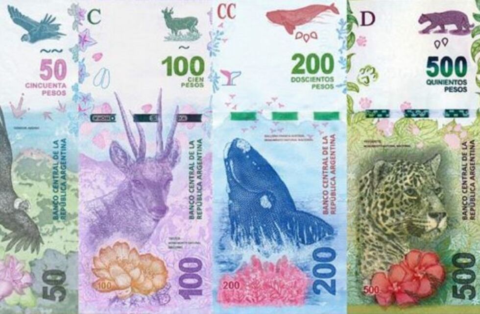 Adiós a los animales: la vuelta de las personalidades a los billetes ya tiene fecha y habrá paridad de género