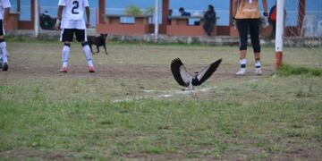 Los clubes de barrio cordobeses recibirán subsidios\u002E