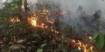 Las llamas continúan devorando la selva amazónica en medio de una creciente indignación popular (INPE)\u002E