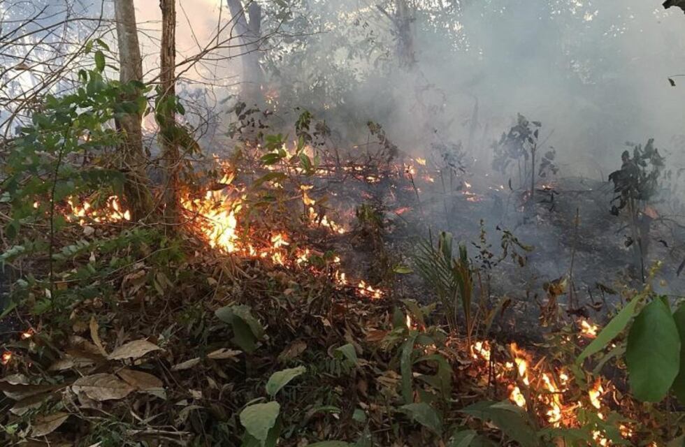 50 bomberos de Entre Ríos están listos para viajar al Amazonas