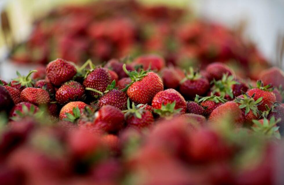 Viral: Jujeños solidarios con un vendedor ambulante
