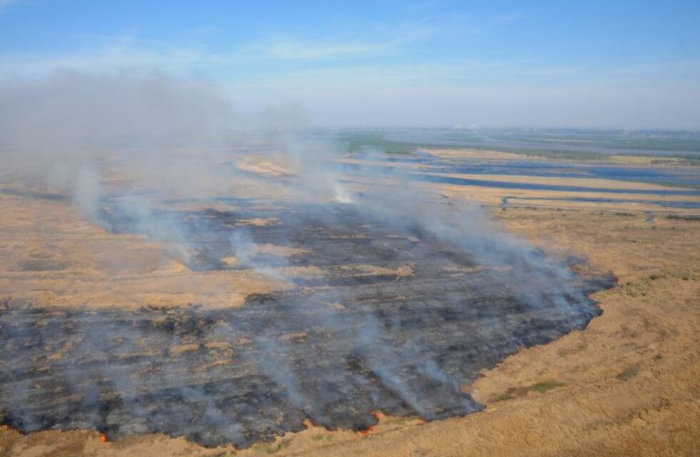 Rosario denunció nuevas quemas en las islas: "Esto contribuye a la propagación del coronavirus"