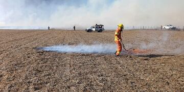 Denuncian incendios intencionales en campos de Córdoba