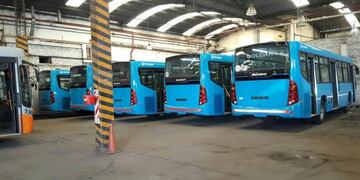 Llegan nuevos colectivos a Rosario