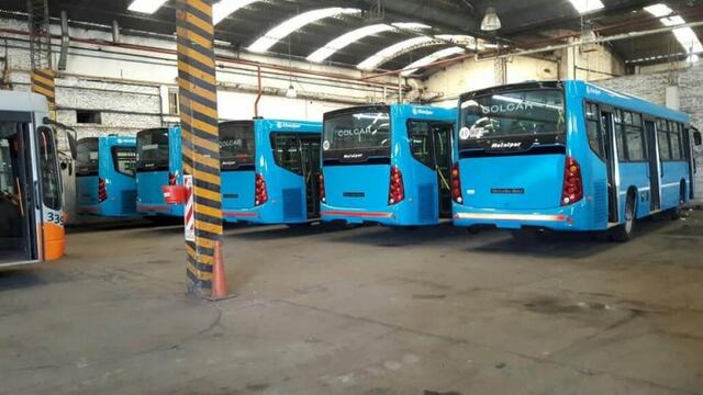 Llegan nuevos colectivos a Rosario