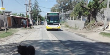 Ocurrió en calle Butori