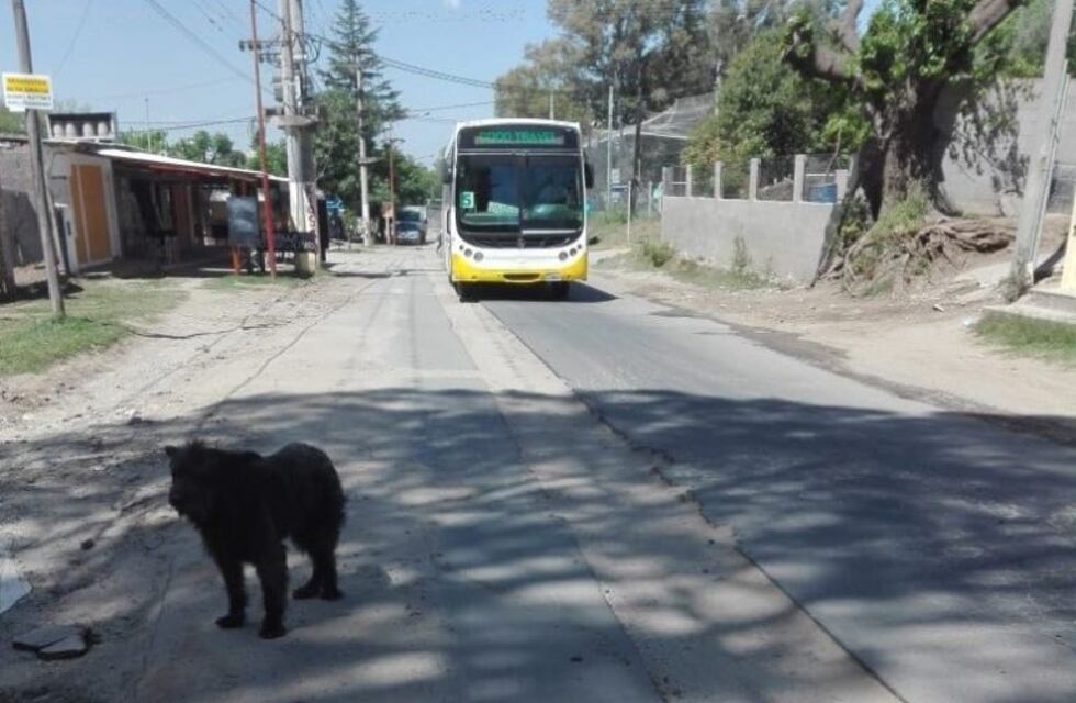 Sigue grave el motociclista que por esquivar una zanja, cayó a la calle