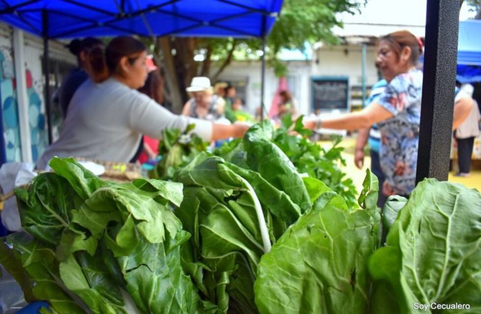 Feria y recital para el final de la Semana Literaria