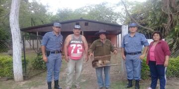 El oso hormiguero estaba herido y fue trasladado a la reserva de Guaycolec