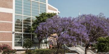 Universidad Nacional de La Rioja