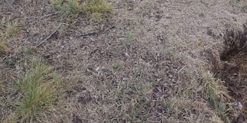 Llegó el turno de Santa Ana: robaron 20 placas del cementerio