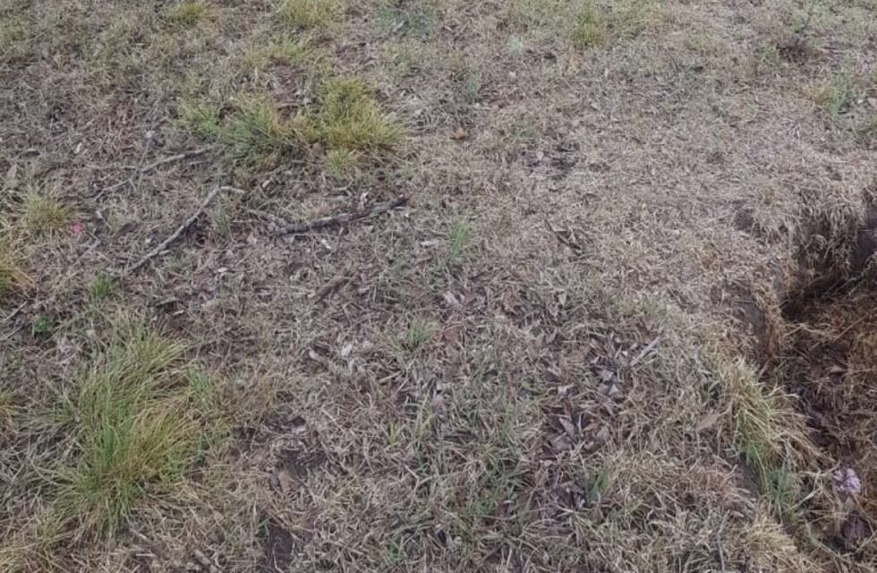 Llegó el turno de Santa Ana: robaron 20 placas del cementerio