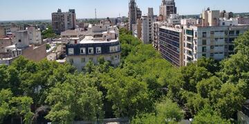 Esta semana comenzaron los vuelos para el relevamiento del Censo del Arbolado Público en el área Metropolitana de Mendoza. Gentileza Gobierno de Mendoza