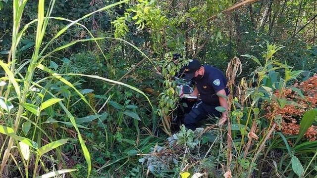 Puerto Esperanza: recuperaron una moto robada.