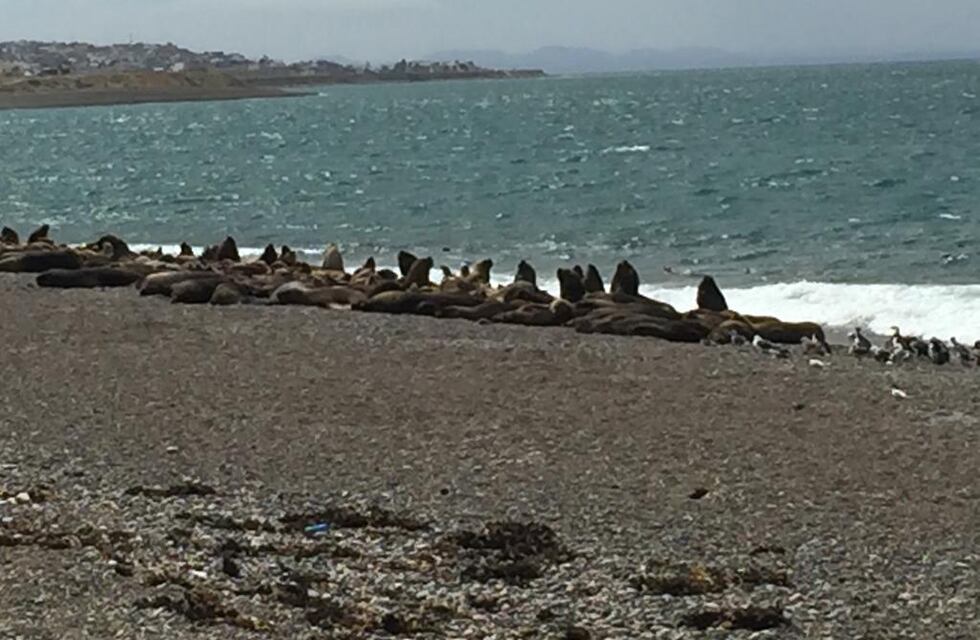Como estará el clima el fin de semana en Caleta Olivia