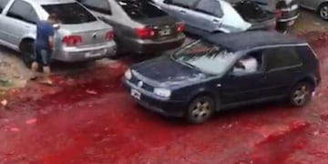 Derrame de sangre en Morón (Web)