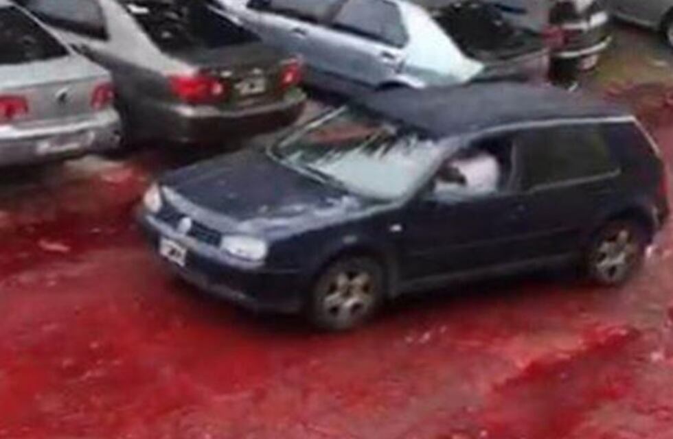 Se derramaron 500.000 litros de sangre y las calles de Morón se tiñeron de rojo