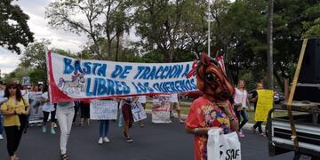 Marcha pacífica para concientizar sobre el maltrato animal