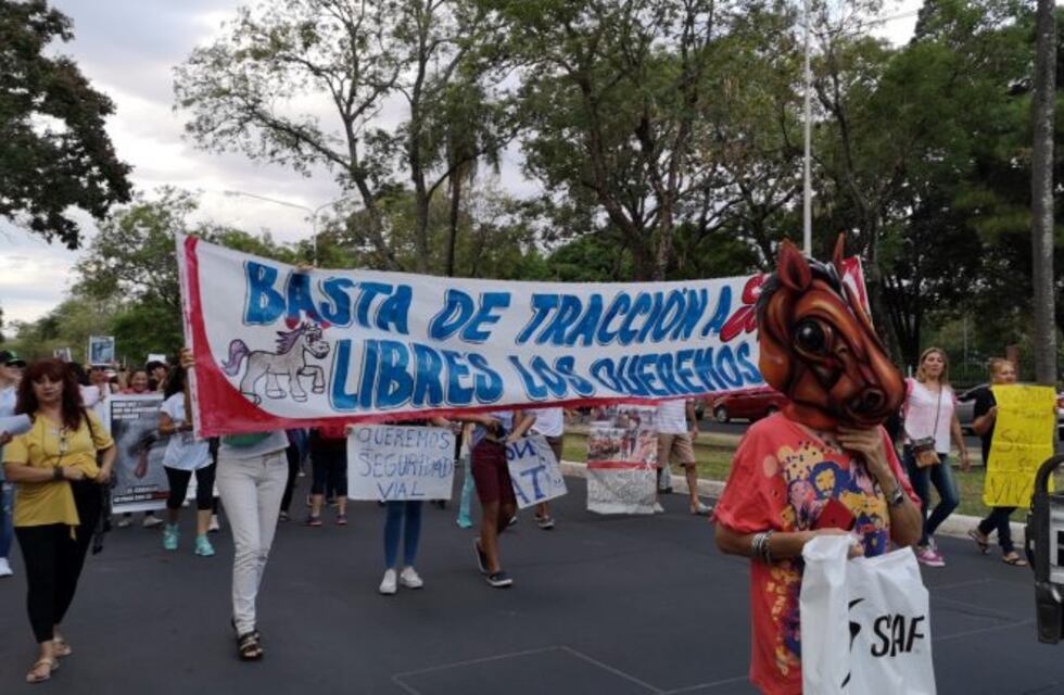Disfrazados de caballo, marchan por el maltrato animal