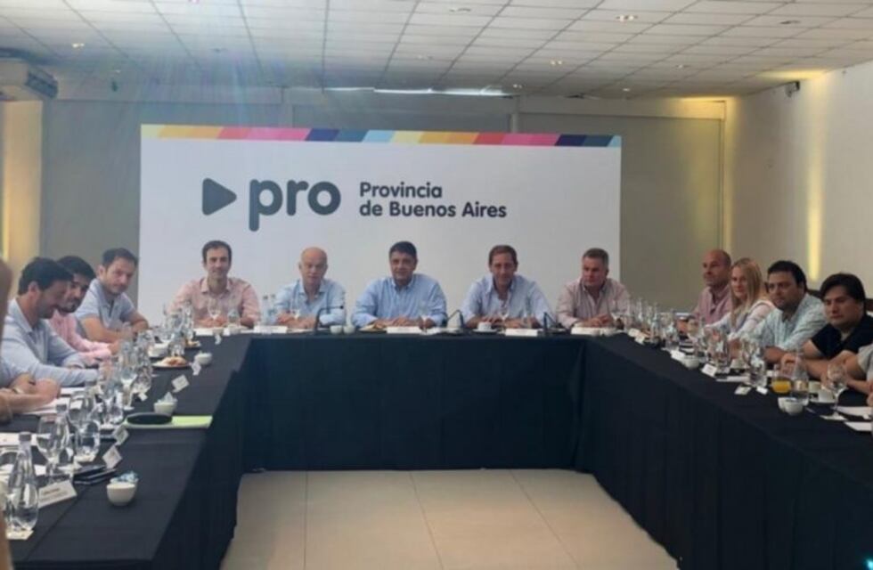 Gay se une a los intendentes del PRO para pedir la eliminación de las PASO en la provincia