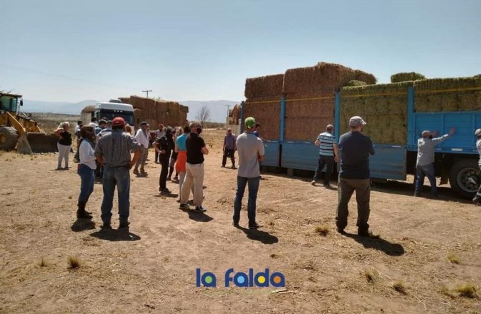 Gente más que solidaria: toneladas de alimentos para animales llegaron este sábado a La Falda