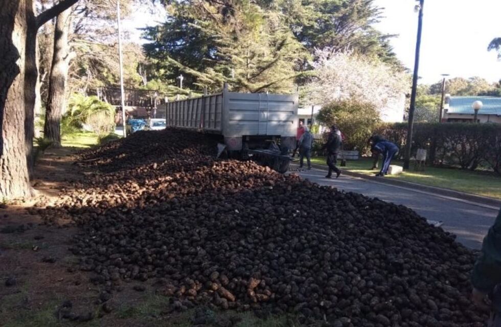 Desarrollo Humano: los 3000 kilos de papa ya se empezaron a repartir