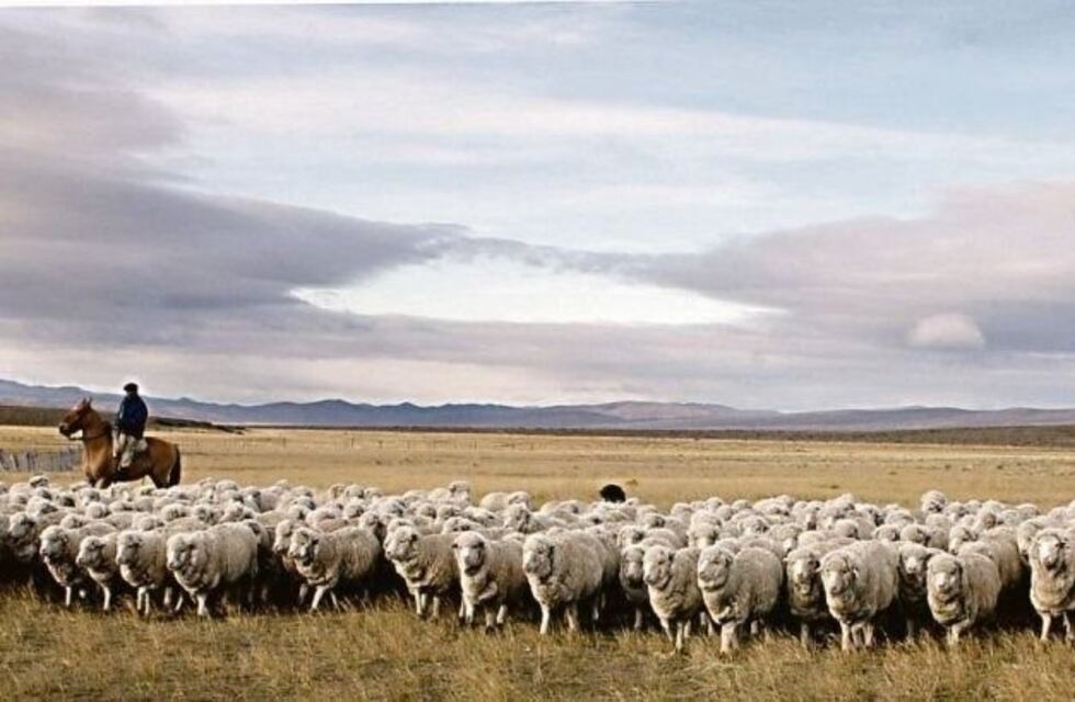 Chubut: se evalúa un impuesto a terratenientes para afrontar obras escolares