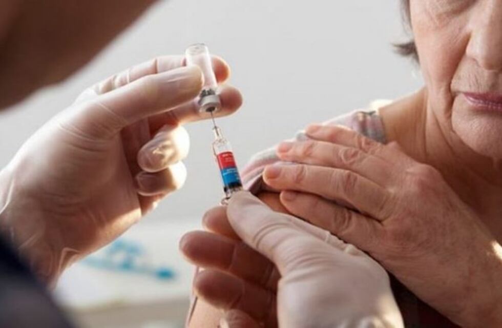 Malestar en Misiones por falsas noticias acerca de un supuesto brote de fiebre amarilla