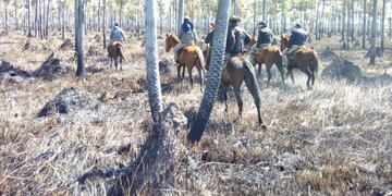 DIspusieron la búsqueda con un amplio operativo