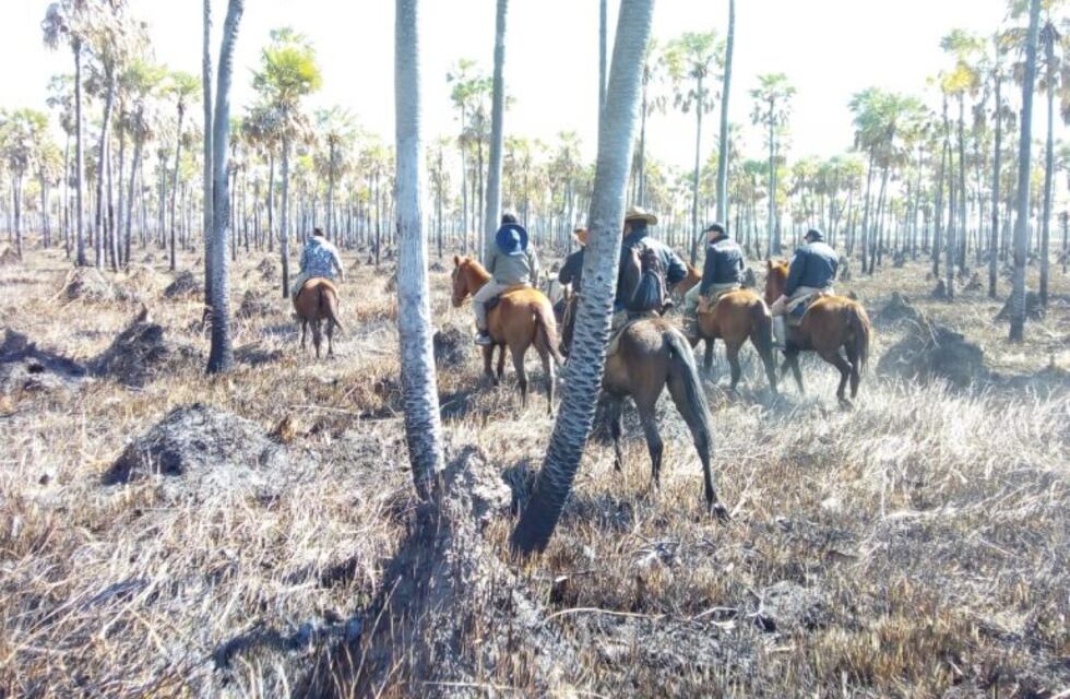 Encontraron sin vida a la mujer que buscaban desde el 10 de agosto