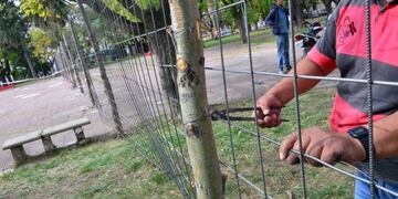 Comenzaron la renovación de la Plaza San Martín de Viedma