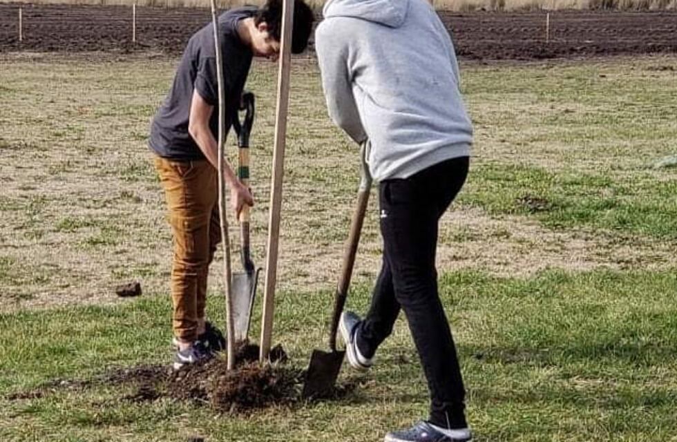 Campaña para la forestación del campo de deportes del Club Huracán
