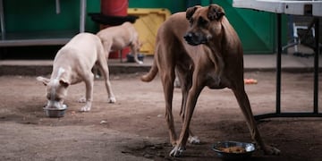 EFE/Alberto González