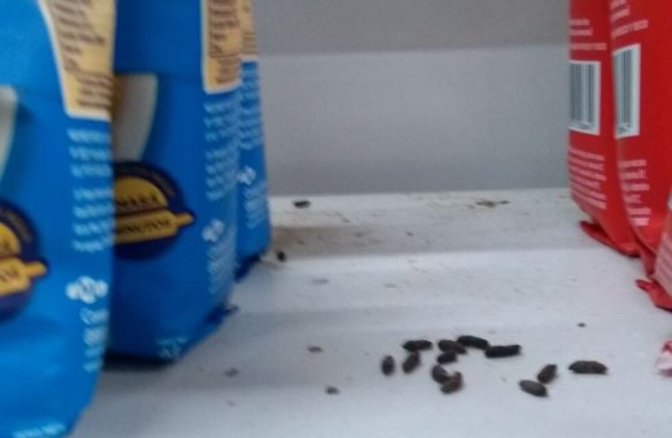 Clausuraron un supermercado en Paraná por presencia de excremento de rata en las góndolas
