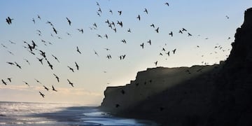 Revista Rumbos #841, escapadas