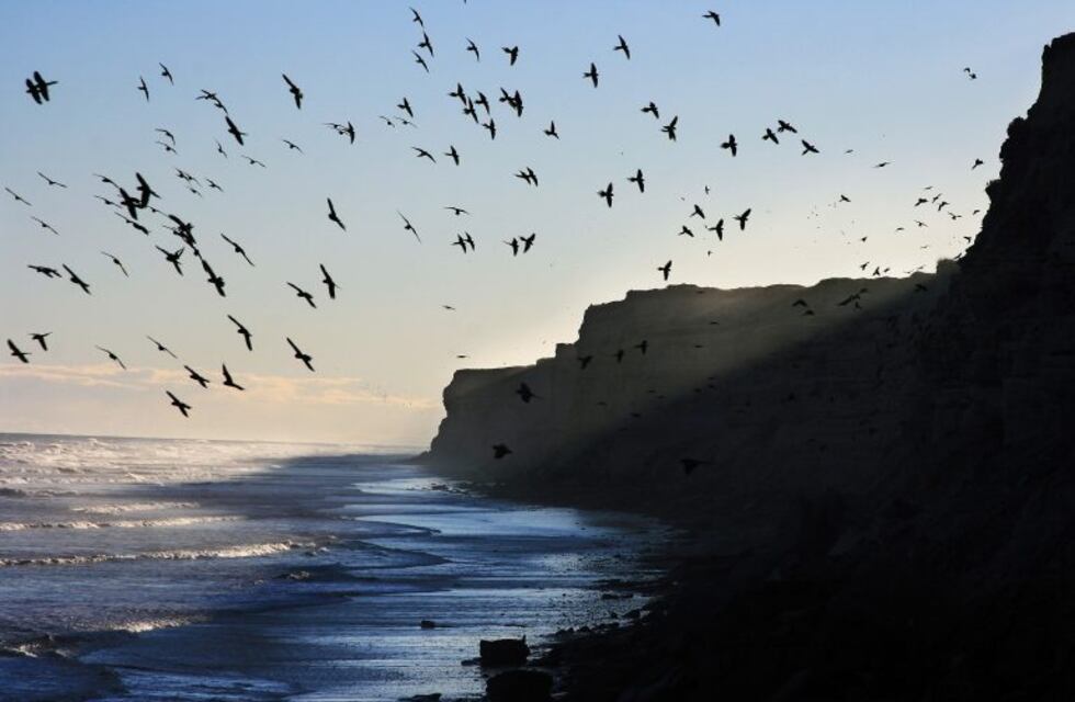 Río Negro, al natural