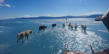 EPA5564\u002E INGLEFIELD BREDNING FJORD (GROENLANDIA), 19/06/2019\u002E- Fotografía facilitada por el Instituto Metorológico de Dinamarca que muestra la fotografía tomada por Steffen M\u002E Olsen, uno de sus investigadores, en el noroeste de Groenlandia el pasado 13 de junio en la que se ve un trineo que avanza por el hielo derretido, con las patas de los perros sumergidas en el agua en el fiordo de Inglefield\u002E La fotografía, que alerta sobre la situación del deshielo en el Ártico, se ha hecho viral en las últimas horas por su impacto\u002E EFE/ Steffen M\u002E Olsen/instituto Meteorológico Danés (DMI)/Foto cedida / SÓLO USO EDITORIAL? NO VENTAS