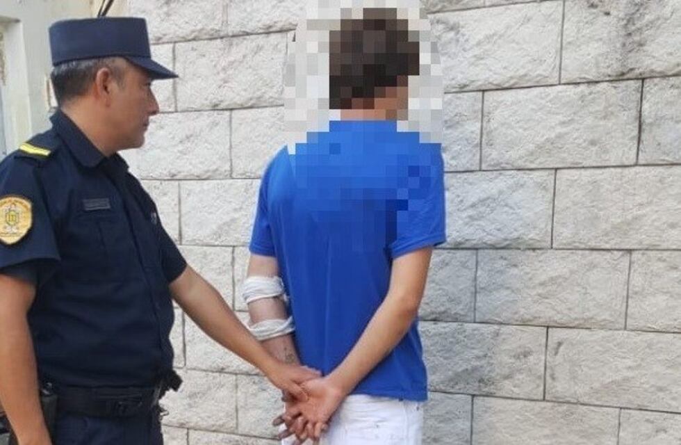 Golpeó a una joven embarazada y fue detenido