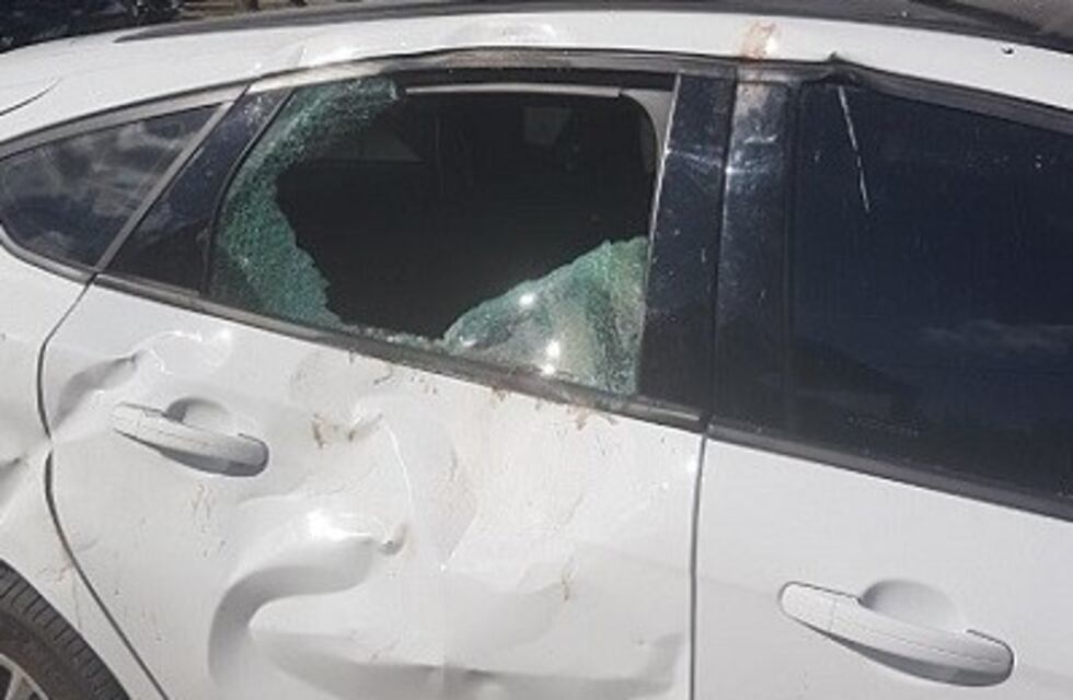 Un caballo desbocado casi provoca una tragedia