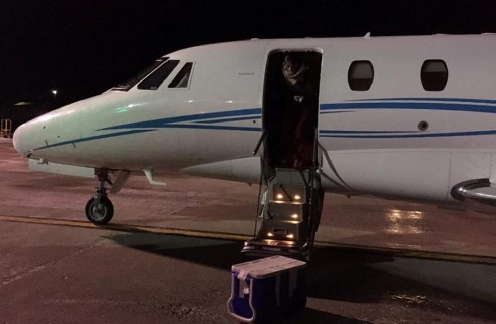 Tercer operativo de ablación multiorgánica del año CUCAI TDF