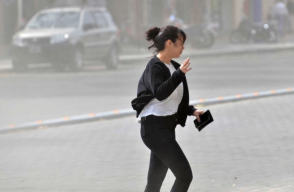 Alerta amarilla por fuertes vientos en Mendoza: podrían alcanzar los 65 kilómetros por hora