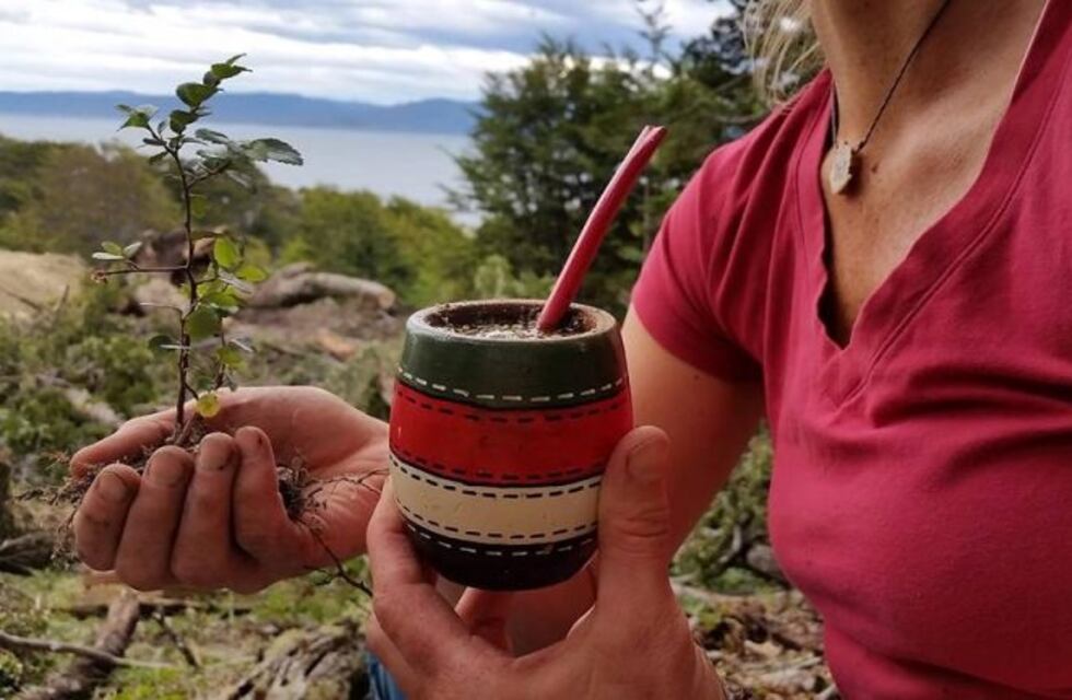 Se realizará la segunda edición del encuentro "Manos a la Tierra"