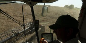 Río Negro declaró estado de Emergencia y Desastre agropecuario por las nevadas