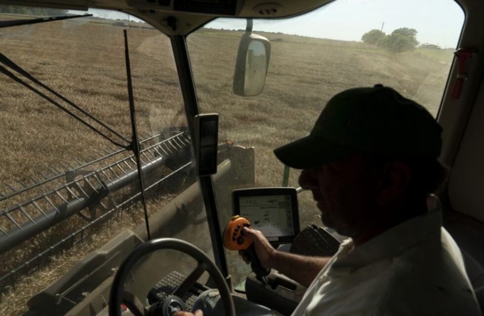 Río Negro declaró estado de Emergencia y Desastre agropecuario por las nevadas