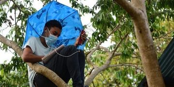 Alexander Contreras (Web)